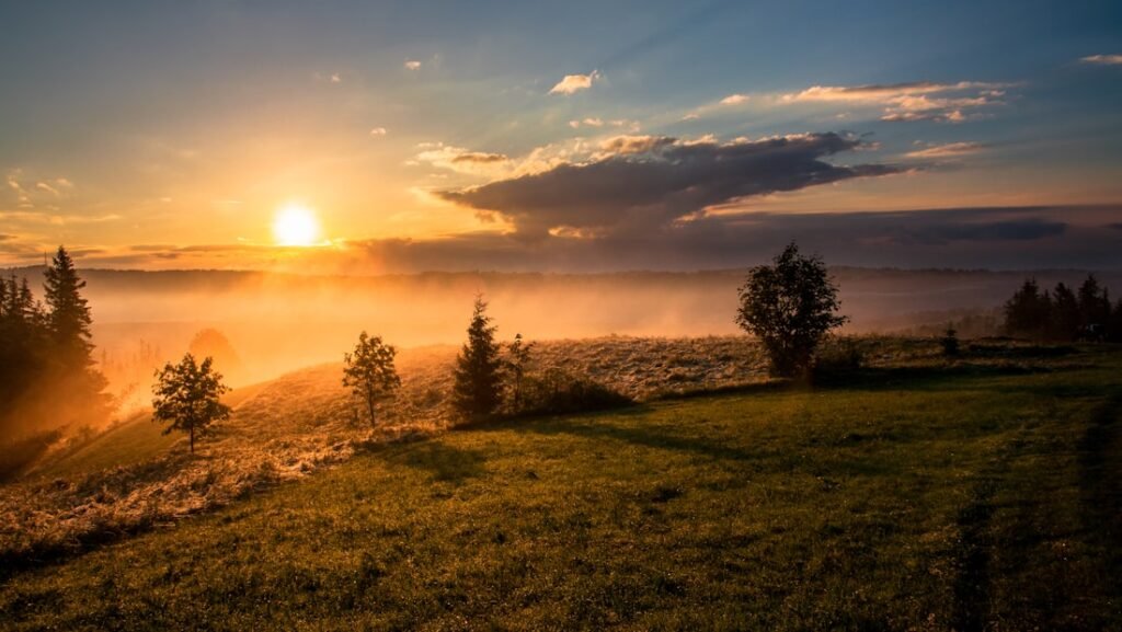 Early morning sunlight over an open landscape