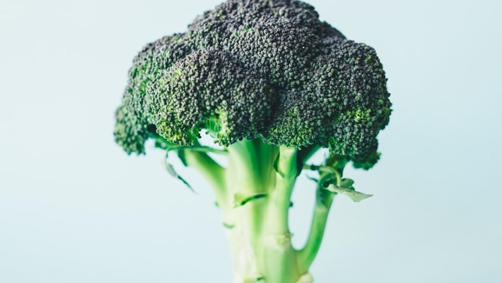 Fresh broccoli and green vegetables on a board